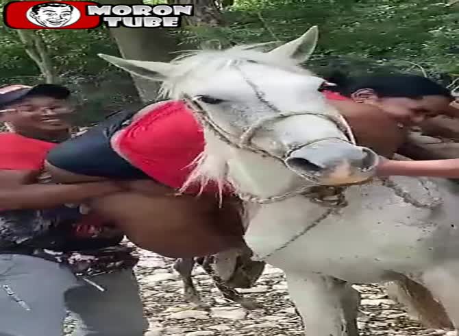 Video: They struggle to convince her to mount a horse!